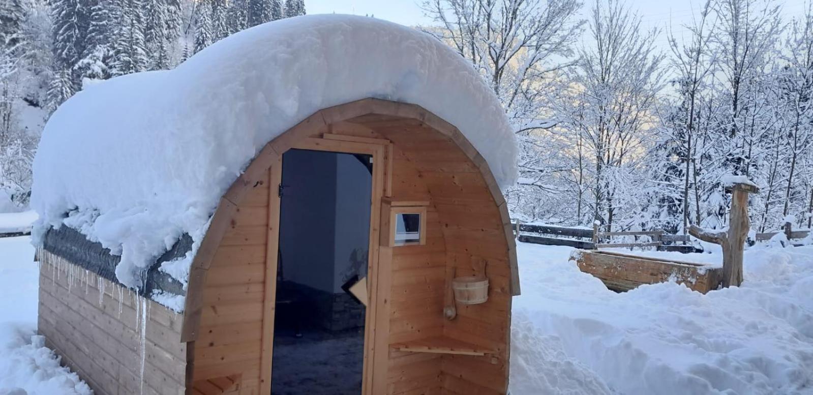 Riedlfeld Chalet Dienten am Hochkönig エクステリア 写真