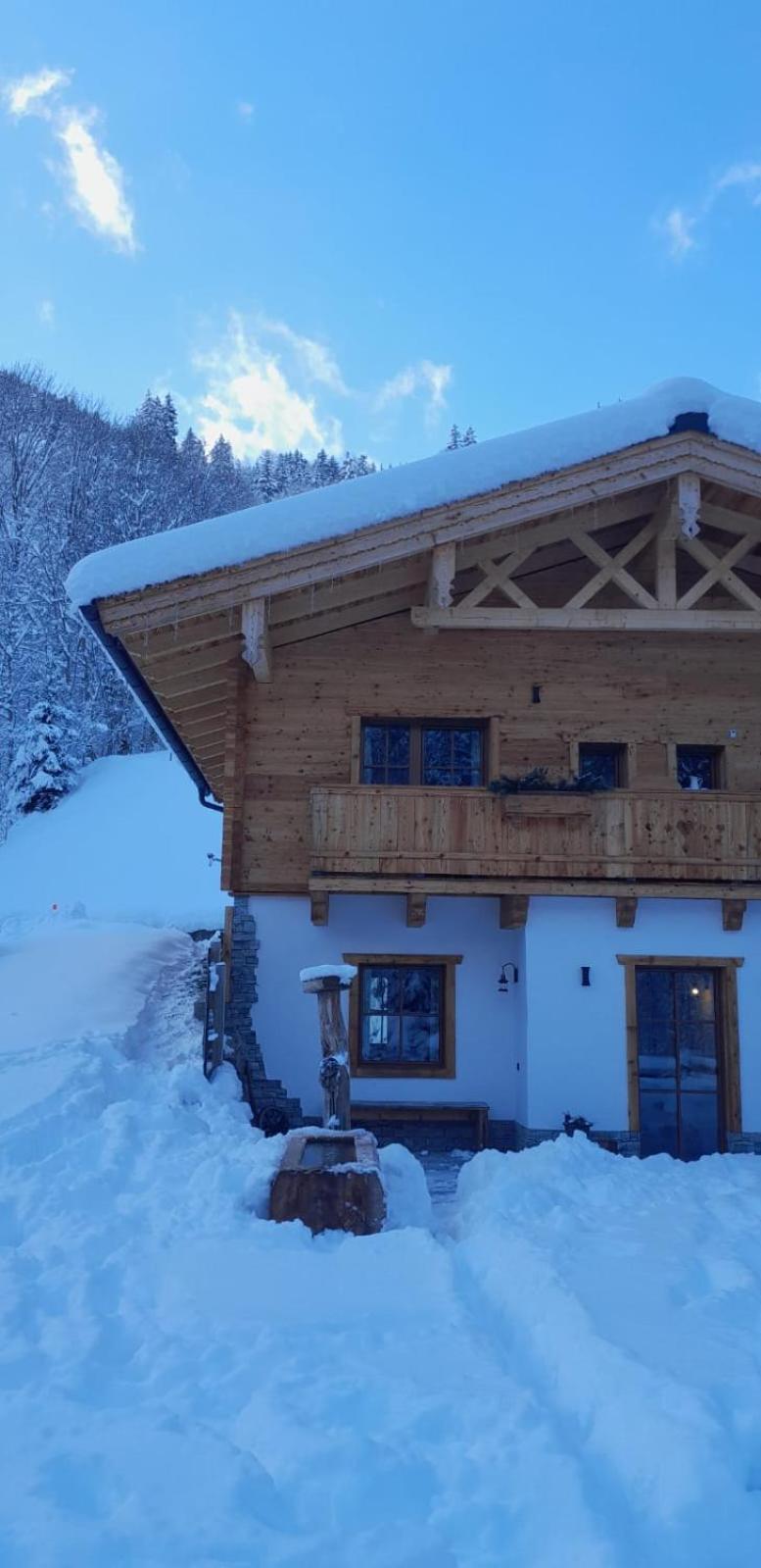 Riedlfeld Chalet Dienten am Hochkönig エクステリア 写真