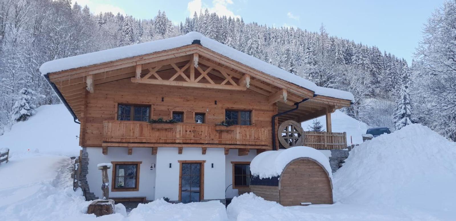 Riedlfeld Chalet Dienten am Hochkönig エクステリア 写真